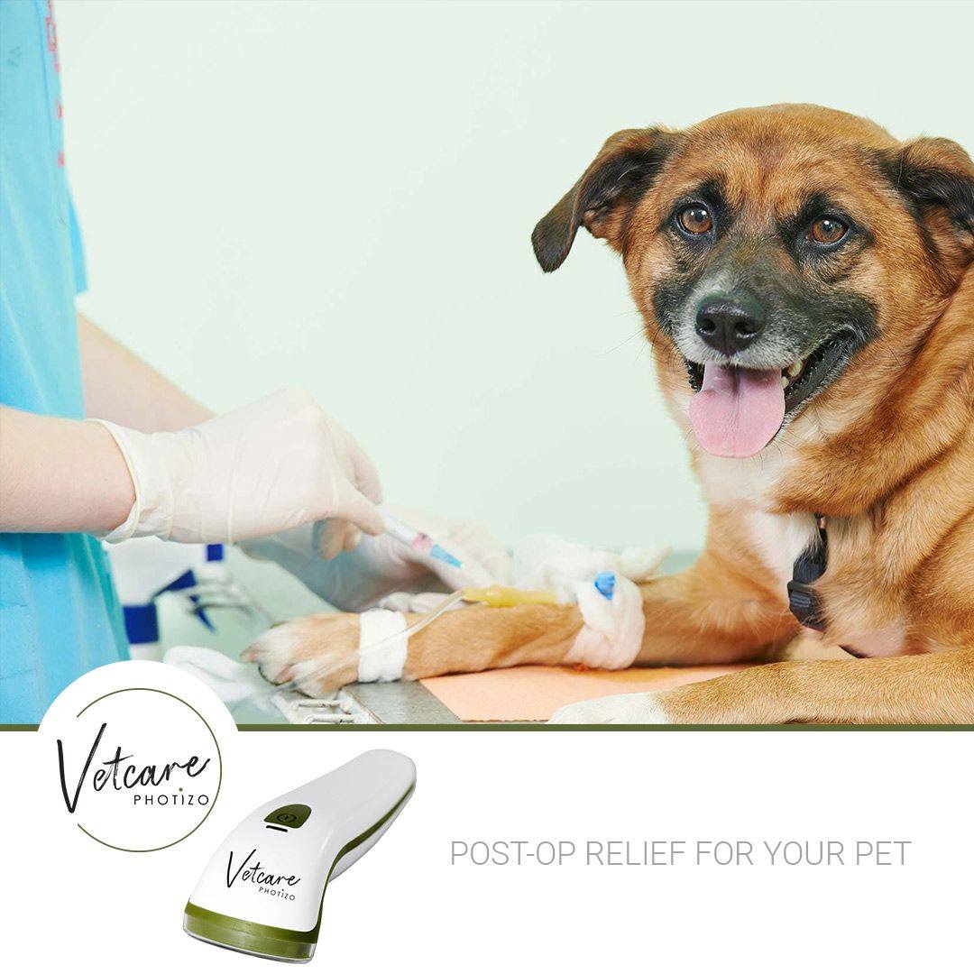 Photizo Vetcare-Therapy For Animals