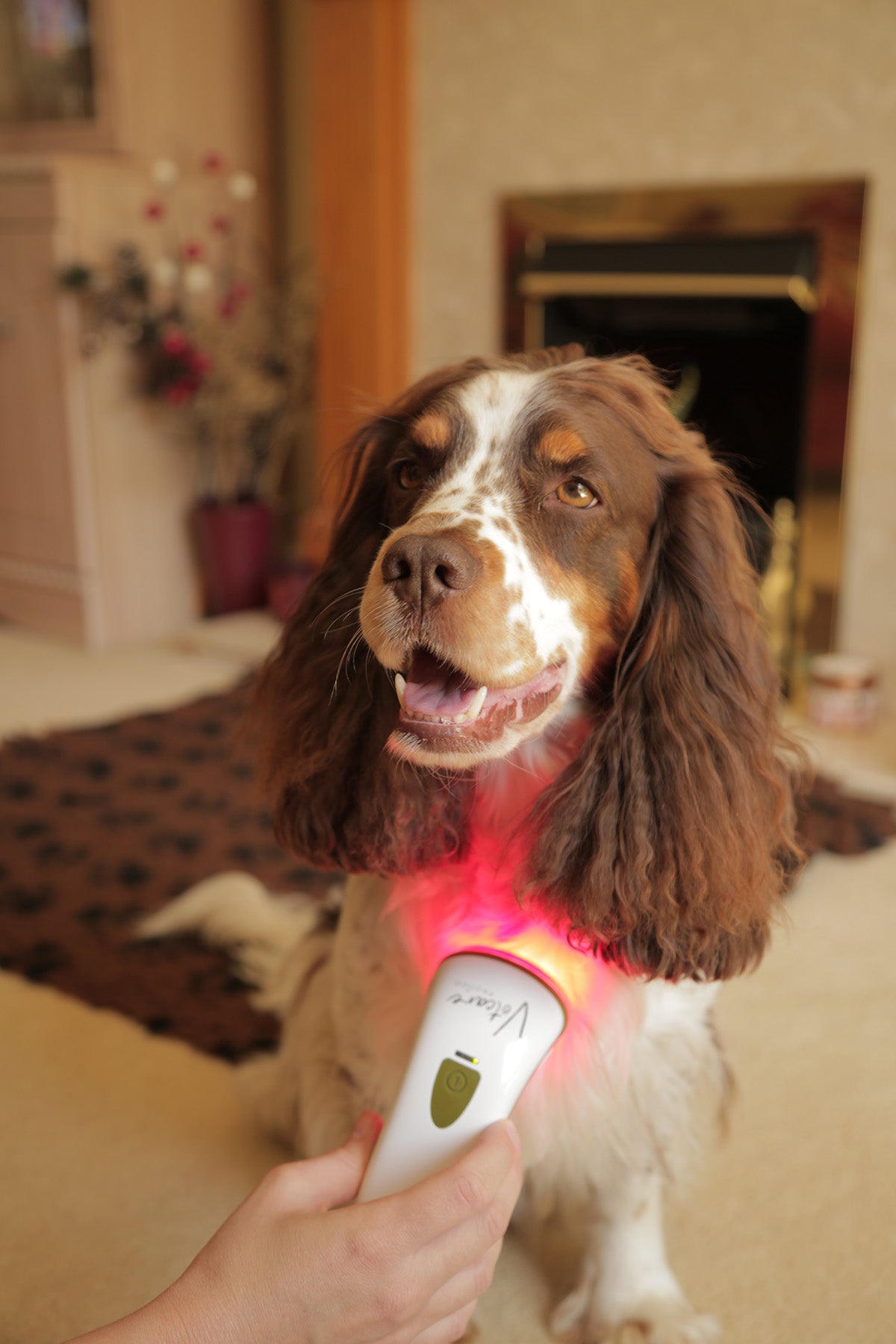 Photizo Vetcare-Therapy For Animals