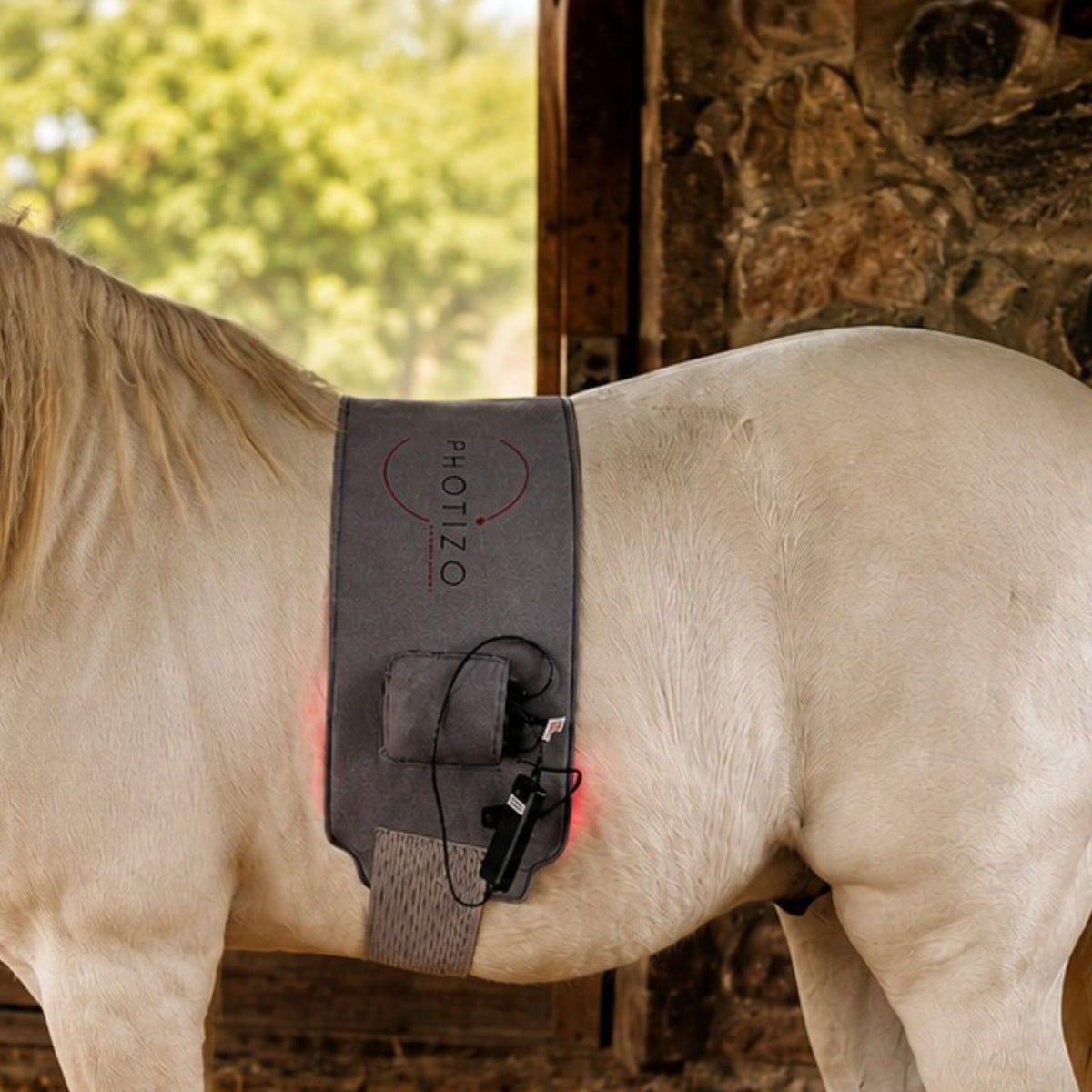 Photizo Flexible LED Pad, Large, on a horse's back in the stable